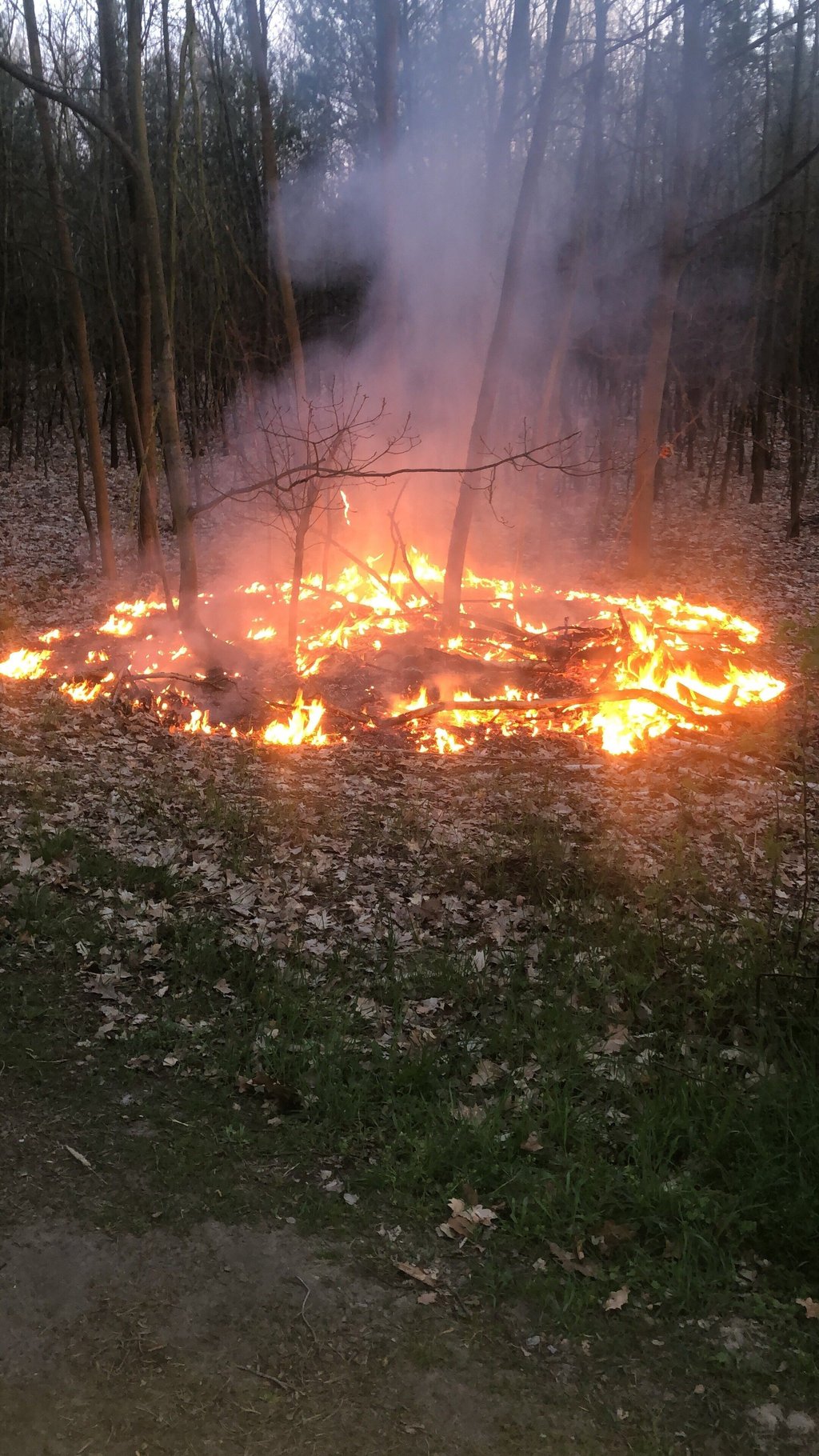 Die Feuerwehr Pretzien-Plötzky rückte zu einem Waldbrand nahe des Sportplatzes in Plötzky aus.
