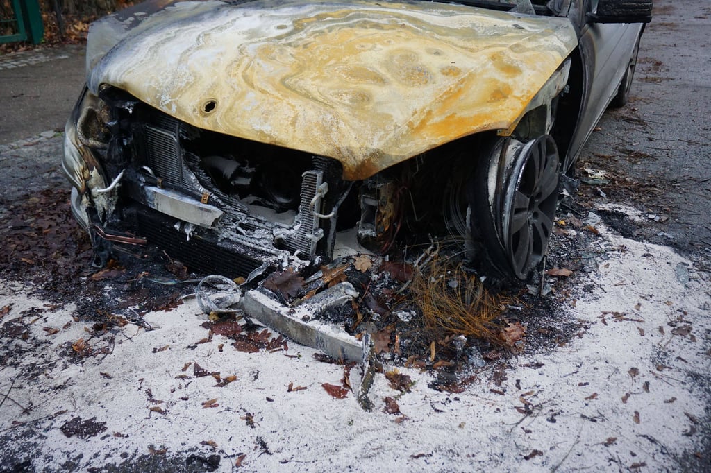 Flammen haben das Auto zerstört. (Symbolbild)
