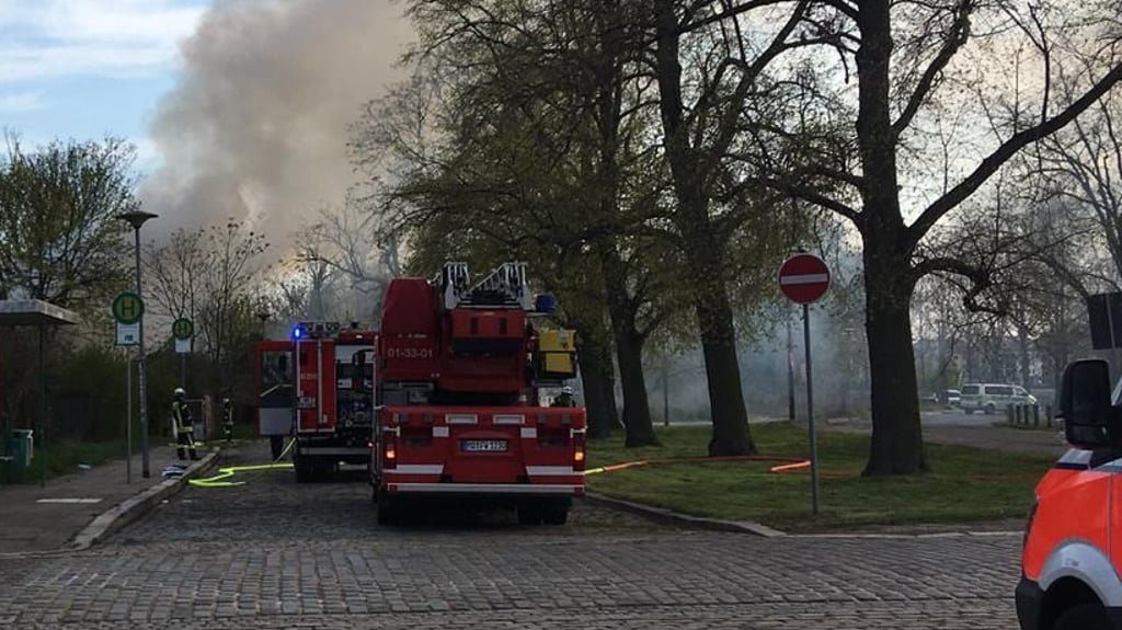 Rauchwolken zeugten vom Laubenbrand im Stadtpark Magdeburg.