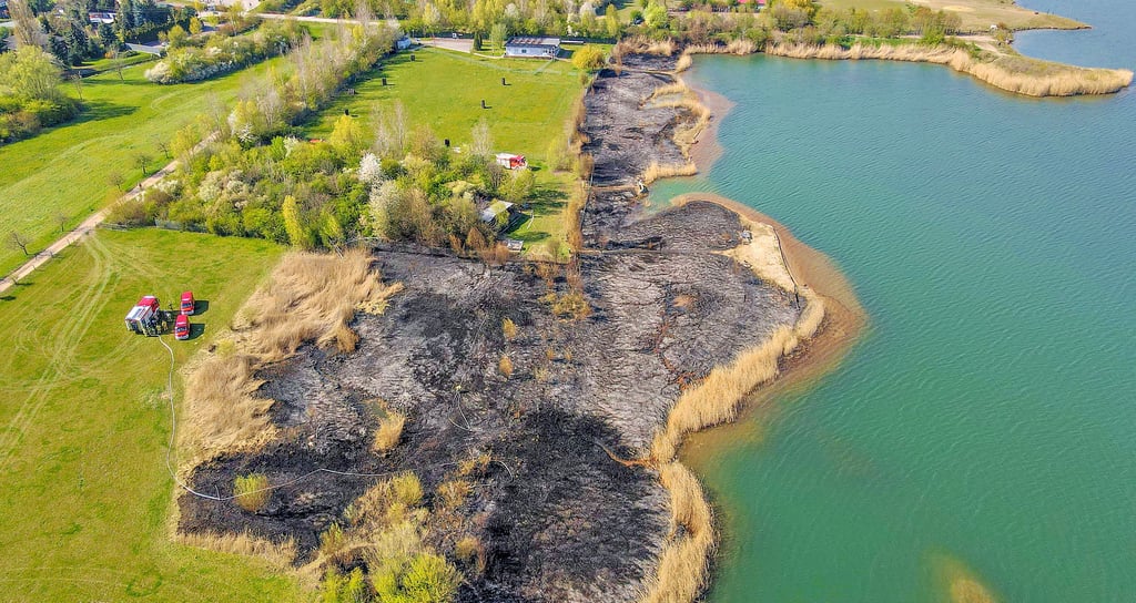 Der Schilfbrand wütete auf einer Fläche von rund vier Hektarn