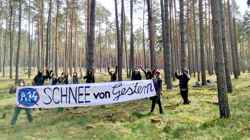 So sehen sich die Waldbesetzer von Losse, die guerillamäßig, aber (noch) friedlich gegen die A 14 sowie das gesellschaftliche Wertesystem und bei ihrem Internetauftritt übrigens auch gegen die Kiefernmonokultur protestieren, in der sie campieren.