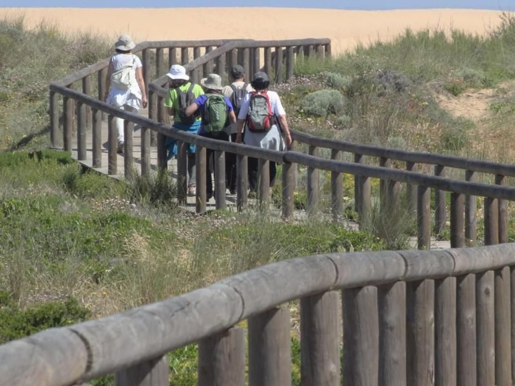 Auf dem Rundweg von Carrapateira leiten Holzstege über lockeren Sand hinweg zu Aussichtsplattformen auf den Klippen. Foto: Bernd F. Meier/dpa-tmn