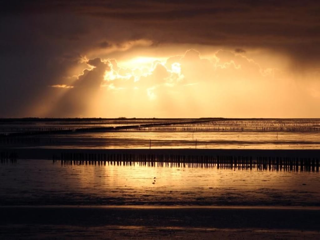 Abendstimmung bei Holwerd: Das Wattenmeer prägt die Region Friesland. Foto: Bernd F. Meier/dpa-tmn