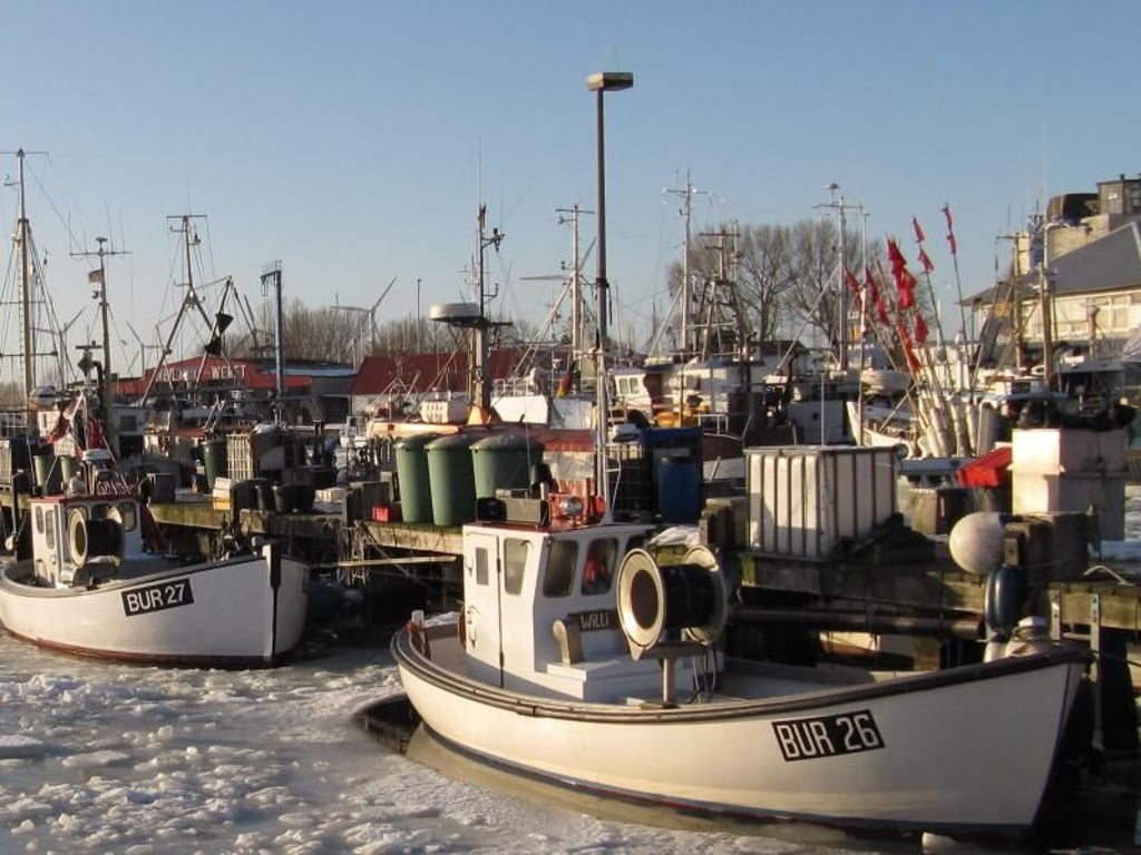 Eis im Hafen: Burgstaaken ist der kleine Hafen von Burg auf Fehmarn. Foto: www.fehmarn-echo.de/dpa-tmn
