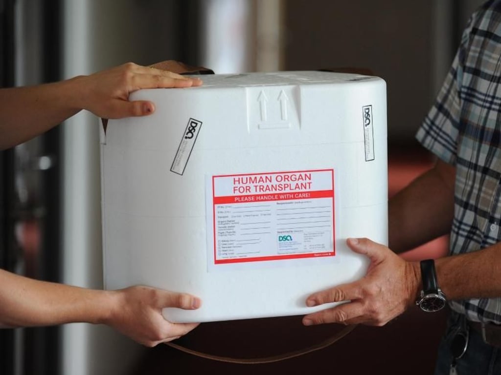 Eine Organtransportbox auf ihrem Weg zu einem schwer kranken Empfänger. Foto: Jens Kalaene