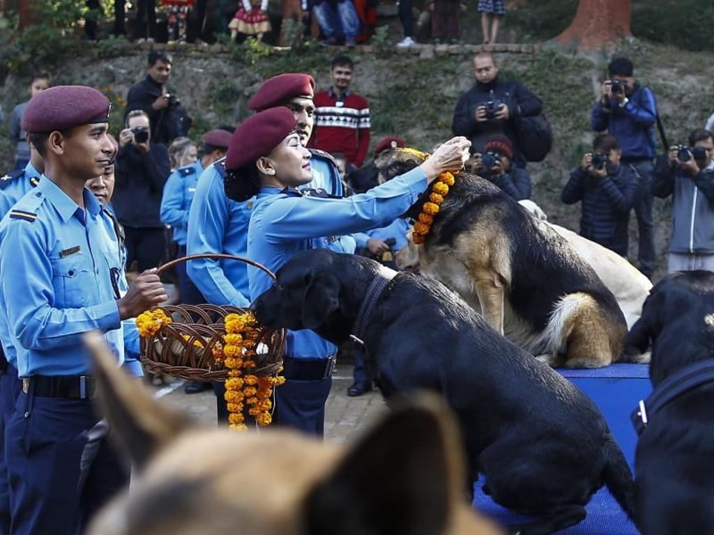 Eine nepalesische Polizistin überreicht einem Polizeihund eine Blumengirlande. Auch Hunde dürfen das Diwali-Fest mitfeiern. Foto: Narendra Shrestha