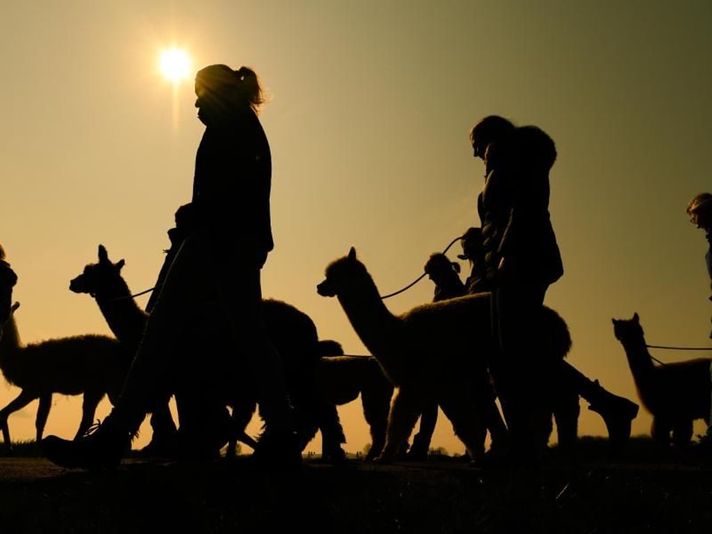 Mohssen Assanimoghaddam