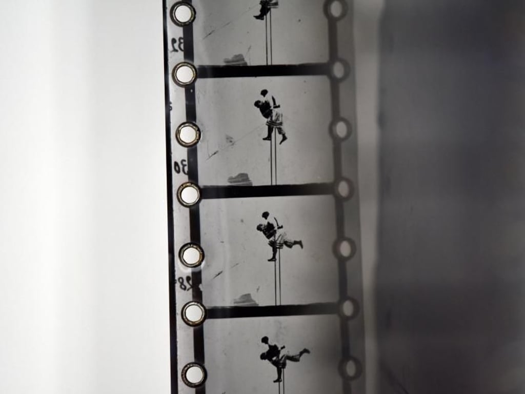 Der umfangreiche Bestand des Filmmuseums Potsdam umfasst auch Filmrollen alter wie neuer Produktionen. Foto: Ralf Hirschberger
