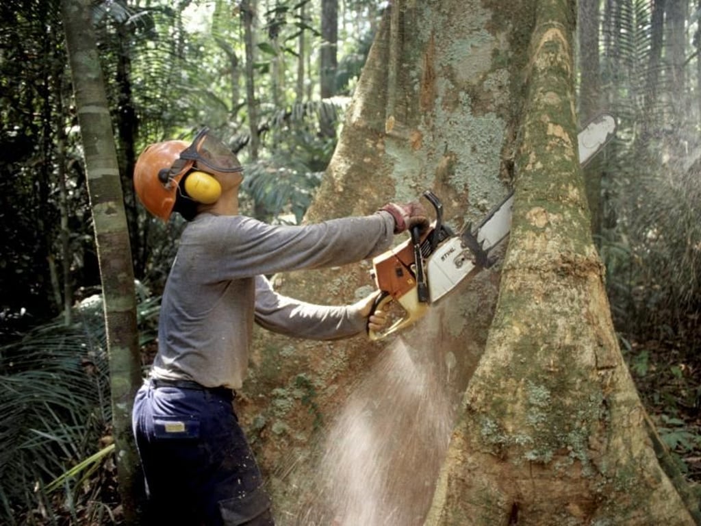 Ein Holzfäller arbeitet mit einer Kettensäge im brasilianischen Regenwald. Rund 100 Millionen Hektar Tropenwald verschwanden laut IPBES bereits von 1980 bis 2000. Foto: Werner Rudhart