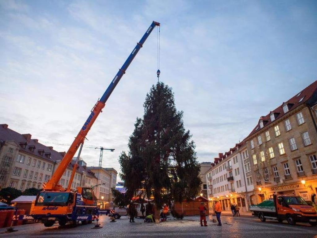 Klaus-Dietmar Gabbert