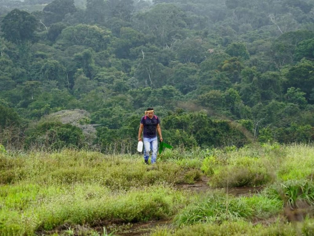 Guide Espanyo ist schon als Jugendlicher zum Jagen in der Wald gegangen - er kennt sich aus in der Natur Surinames. Foto: Steven Hille