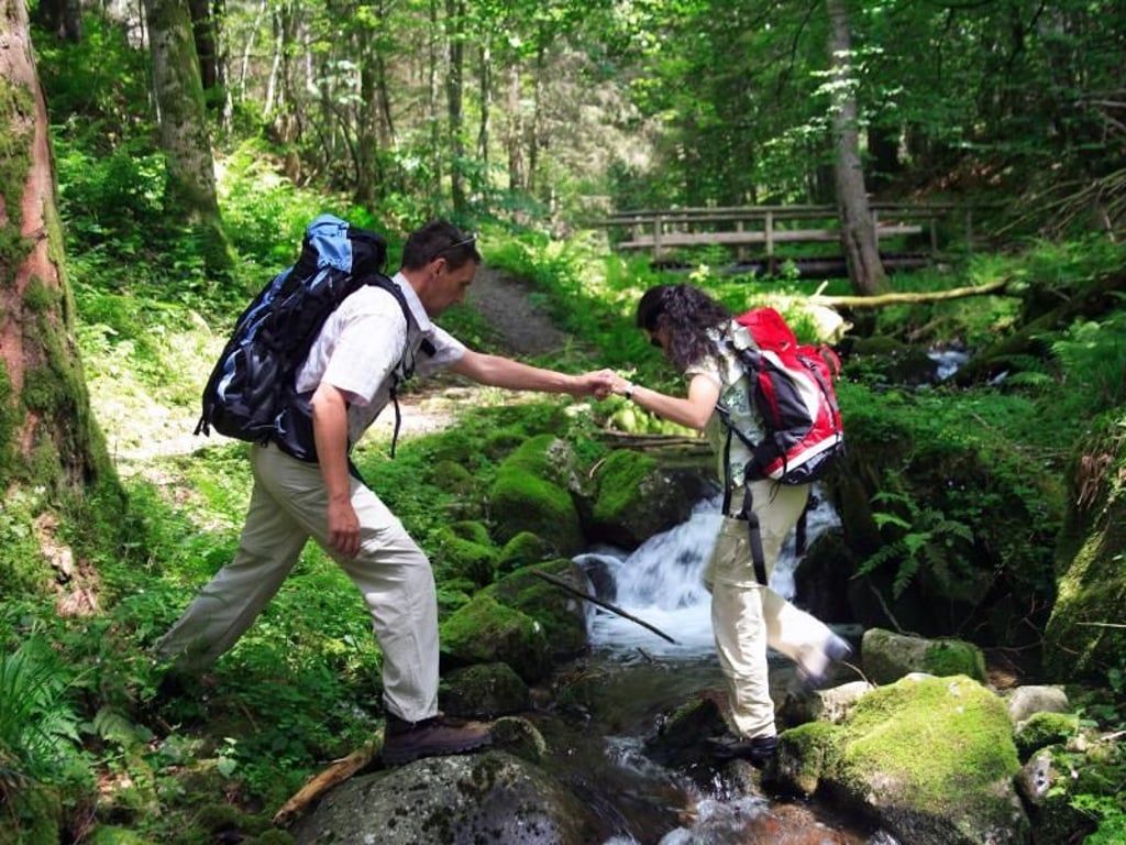 Hohwehraschlucht bei Todtmoos: Der Schluchtensteig führt an einigen Stellen auch über schmale Stege und Steine. Foto: Schluchtensteig Schwarzwald
