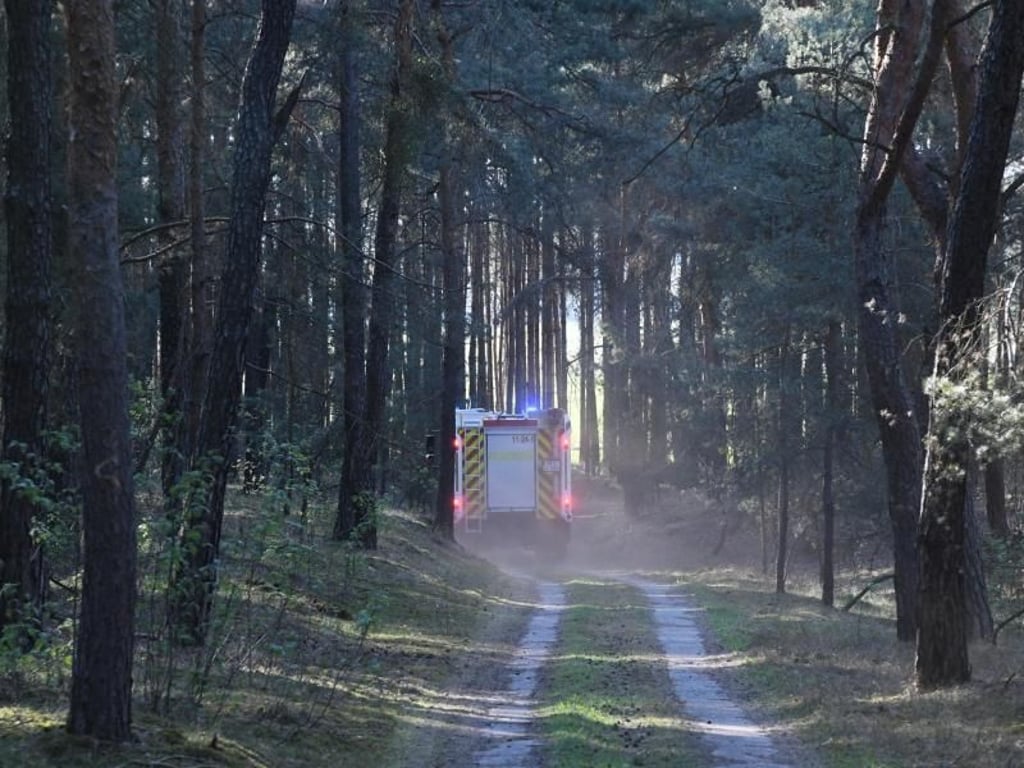 Feuerwehreinsatz in der Nähe von Groß Kreutz. Foto: Julian Stähle