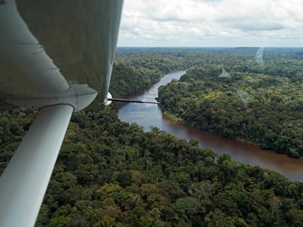 Palumeu kurz vor der Landung mit dem Flugzeug:&nbsp;Suriname komplett auf eigene Faust zu bereisen, ist wegen mangelnder Infrastruktur schwierig bis unmöglich. Foto: Steven Hille