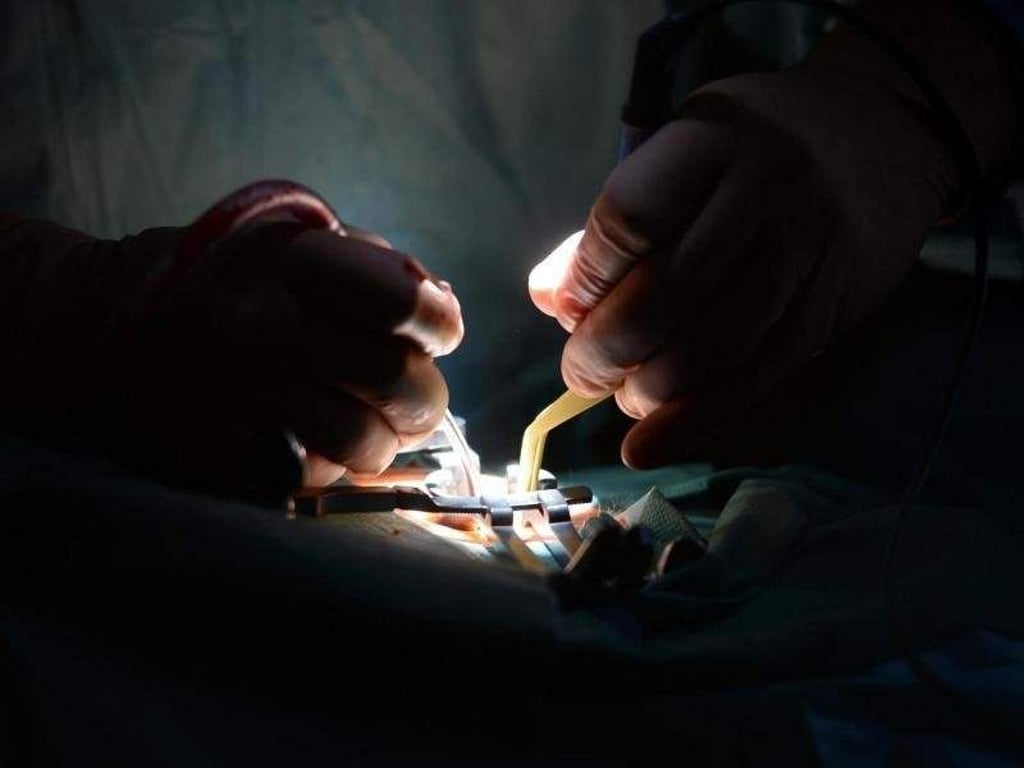 Tausende Patienten glauben, dass bei ihrer OP etwas schiefgelaufen ist. Foto: Felix Kästle
