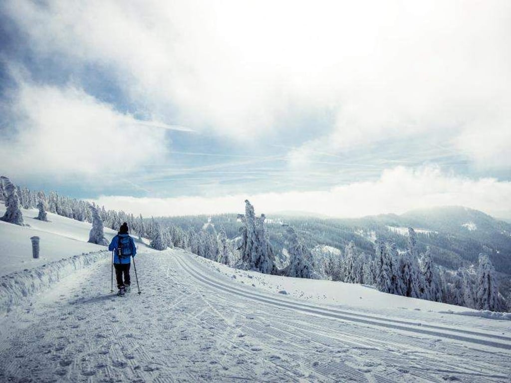 Zum Beispiel am Feldberg lässt sich auf ausgeschilderten Schneeschuhtrails die Natur erkunden. Foto: Hochschwarzwald Tourismus GmbH