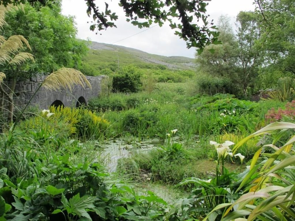 Der Caher Bridge Garden an der Westküste Irlands ist einem felsigen Boden abgetrotzt worden - und leuchtet heute in vielen Grüntönen. Foto: Daniela David