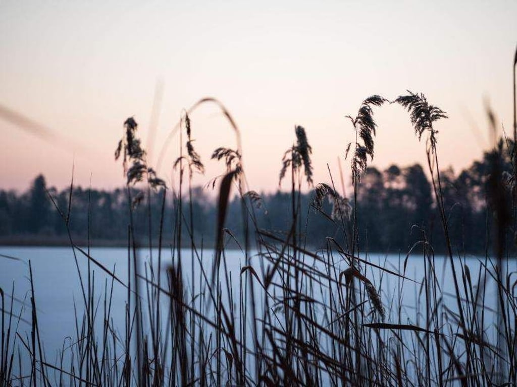 Zum Wochenende soll es wieder deutlich kälter werden. Foto: Lino Mirgeler