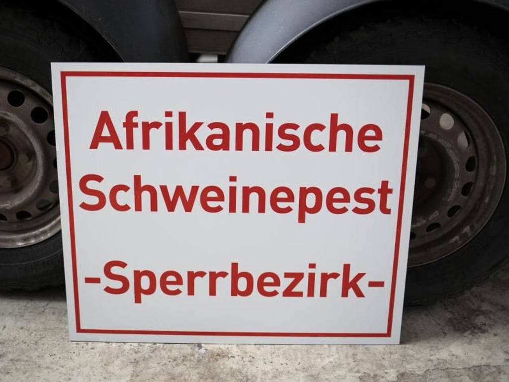 Frank Rumpenhorst
