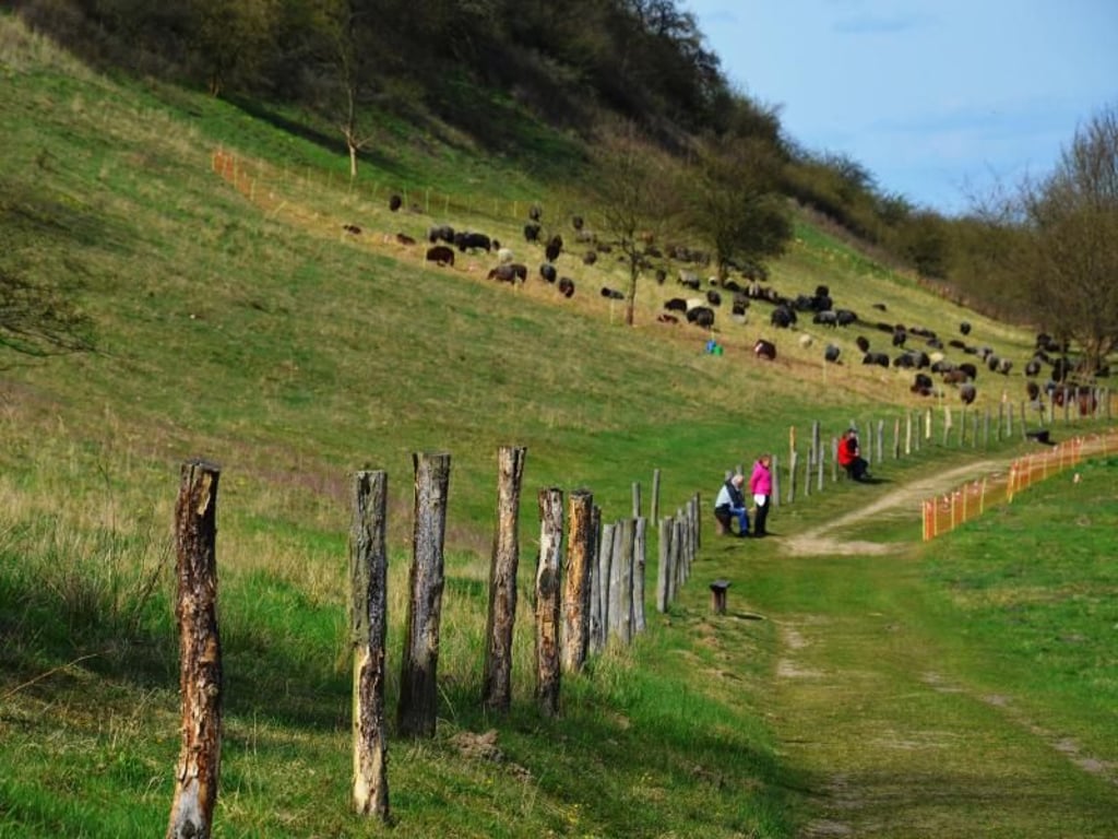 Entlang der polnischen Grenze: Von Frankfurt an der Oder kann man über den Jakobsweg nach Lebus und weiter nach Küstrin wandern. Foto: Aneta Szczesniewicz/MuV GmbH Frankfurt (Oder)