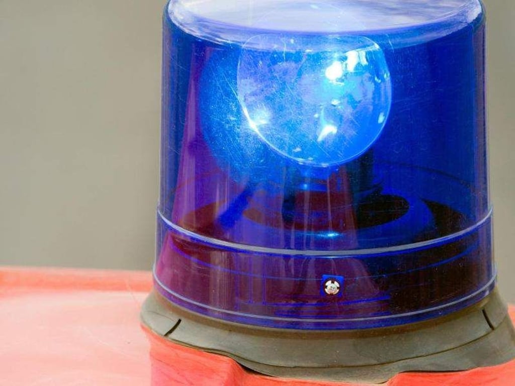 Ein Blaulicht auf einem Feuerwehrwagen. Foto: Patrick Pleul/Archiv