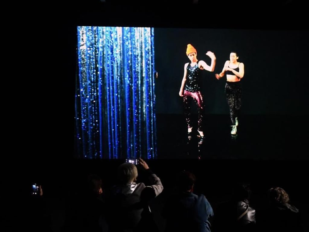 Die Videoinstallation «Moving Backwards» des Künstlerinnenduos Pauline Boudry und Renate Lorenz im Schweizer Pavillion: Foto: Felix Hörhager