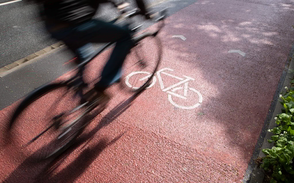 Radfahrer fahren auf einem Radweg. Trotz schmerzhafter Einbußen in der Corona-Krise gibt die Fahrradindustrie das laufende Geschäftsjahr noch nicht verloren. (zu dpa «Zweiradindustrie trotz Krise optimistisch») +++ dpa-Bildfunk +++
