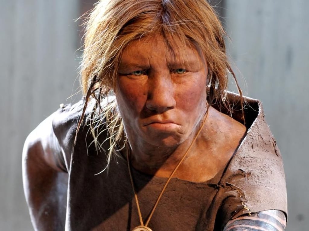 Im Durchschnitt trägt ein Europäer laut Dannemann zwei Prozent Neandertaler-DNA in sich. Foto: Federico Gambarini