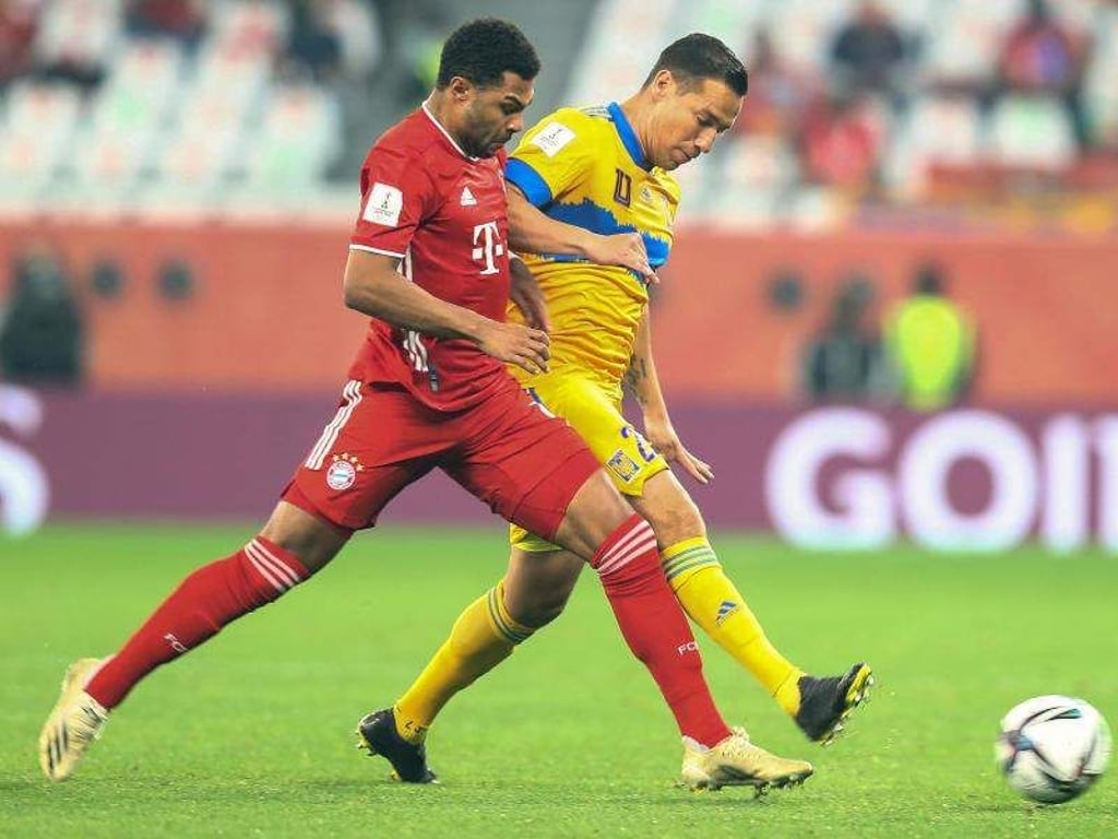Mahmoud Hefnawy
