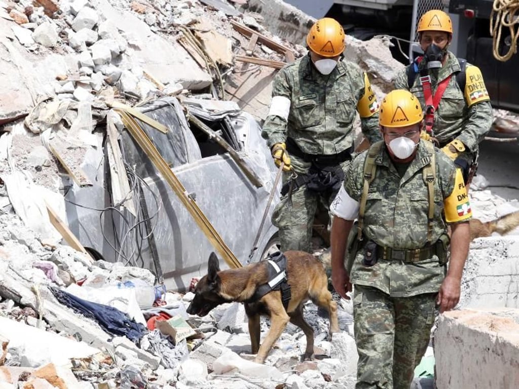 Mit einem Spürhund suchen Mitarbeiter der Rettungskräfte in der mexikanischen Hauptstadt nach eingeschlossenen Menschen. Foto: Agustin Salinas