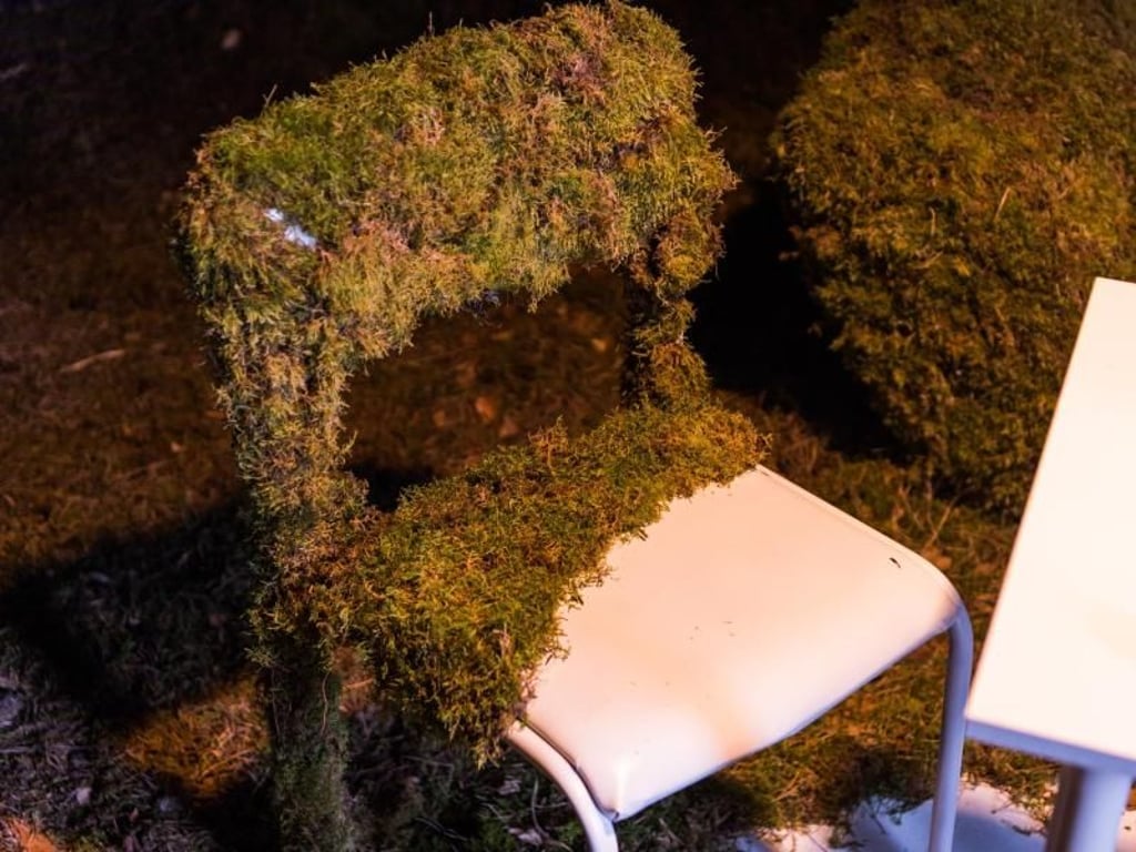 Señor Schnu hat den Moos-Raum gestaltet, mit dem er den aus seiner Sicht scheinheiligen Öko-Wahn vieler Menschen infrage stellen will. Foto: Christophe Gateau