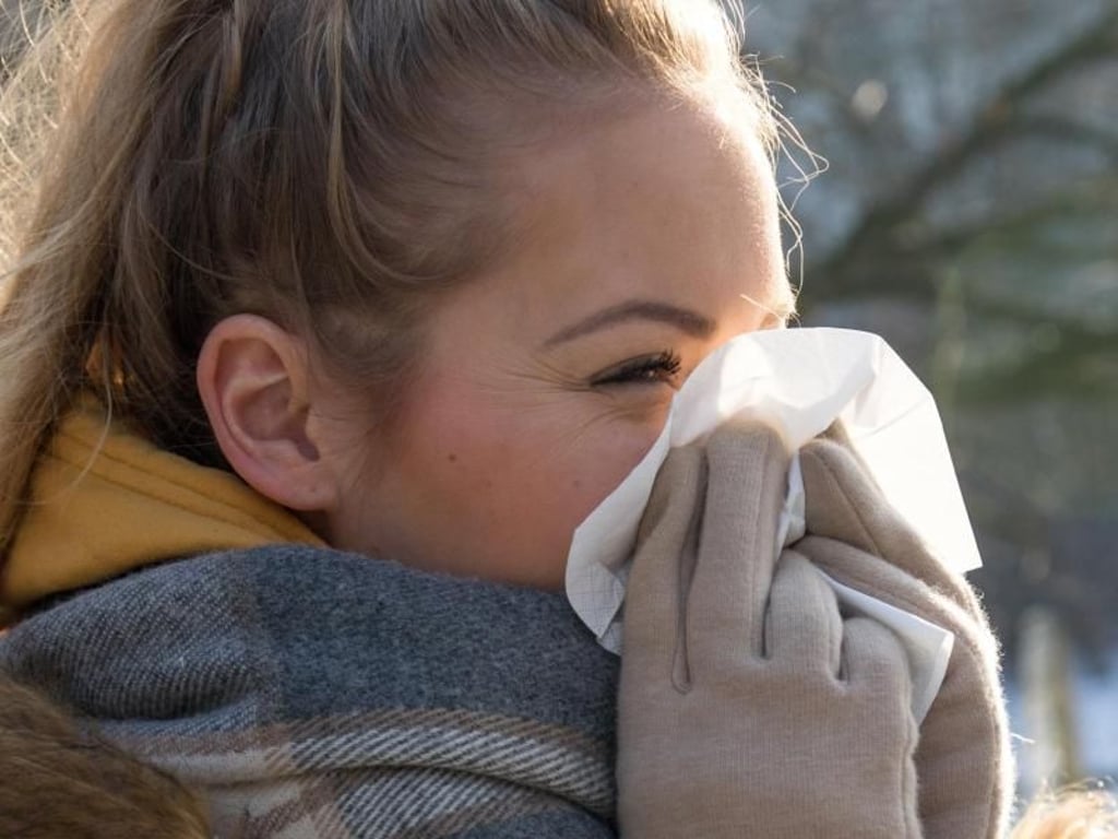 Das Immunsystem wehrt jeden Tag zahllose Krankheitserreger ab - klappt das nicht, droht zum Beispiel eine Erkältung. Foto: Christin Klose