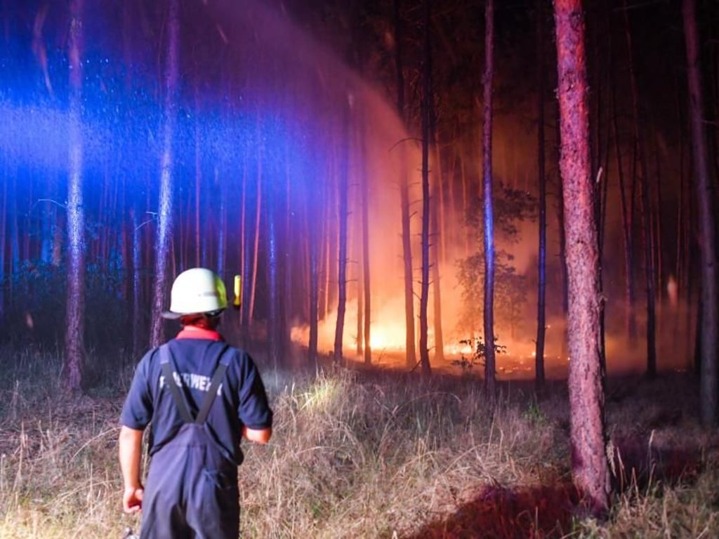 Im Boden der vom Feuer betroffenen Region stellt Munition aus dem Zweiten Weltkrieg eine zusätzliche Gefahr dar. Foto: Patrick Pleul