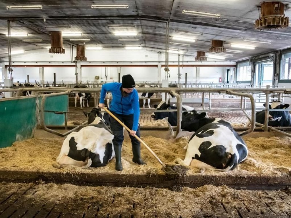 Ein verantwortungsvoller Umgang mit Tieren und Pflanzen ist ihr wichtig: Nina Langreder hat genaue Vorstellungen davon, wie sie später einmal arbeiten will. Foto: Peter Steffen/dpa-tmn