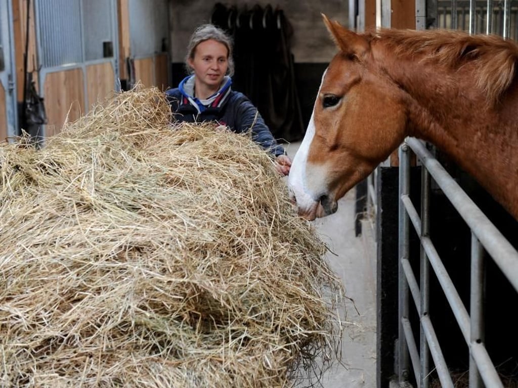Jana Meyer-Lindemann füttert Heu - das ist gut für den Verdauungsapparat der Pferde und beschäftigt sie. Foto: Ingo Wagner