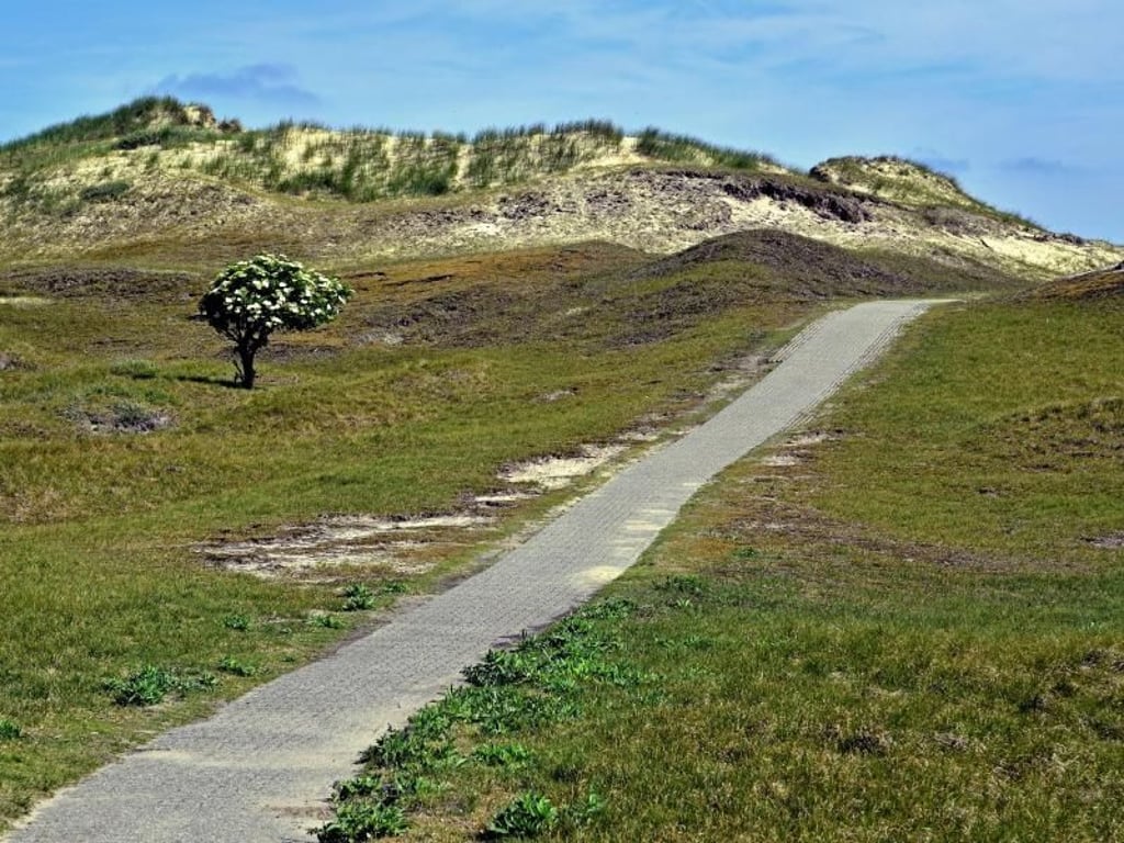 Durch die Dühnen von Norderney ziehen sich viele Kilometer Wanderwege. Foto: Stefan Pähz/Staatsbad Norderney GmbH/dpa-tmn