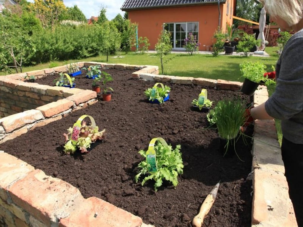 Viele Vorteile bietet auch ein rückenschonendes Kräuter-Hochbeet. Foto: Nestor Bachmann