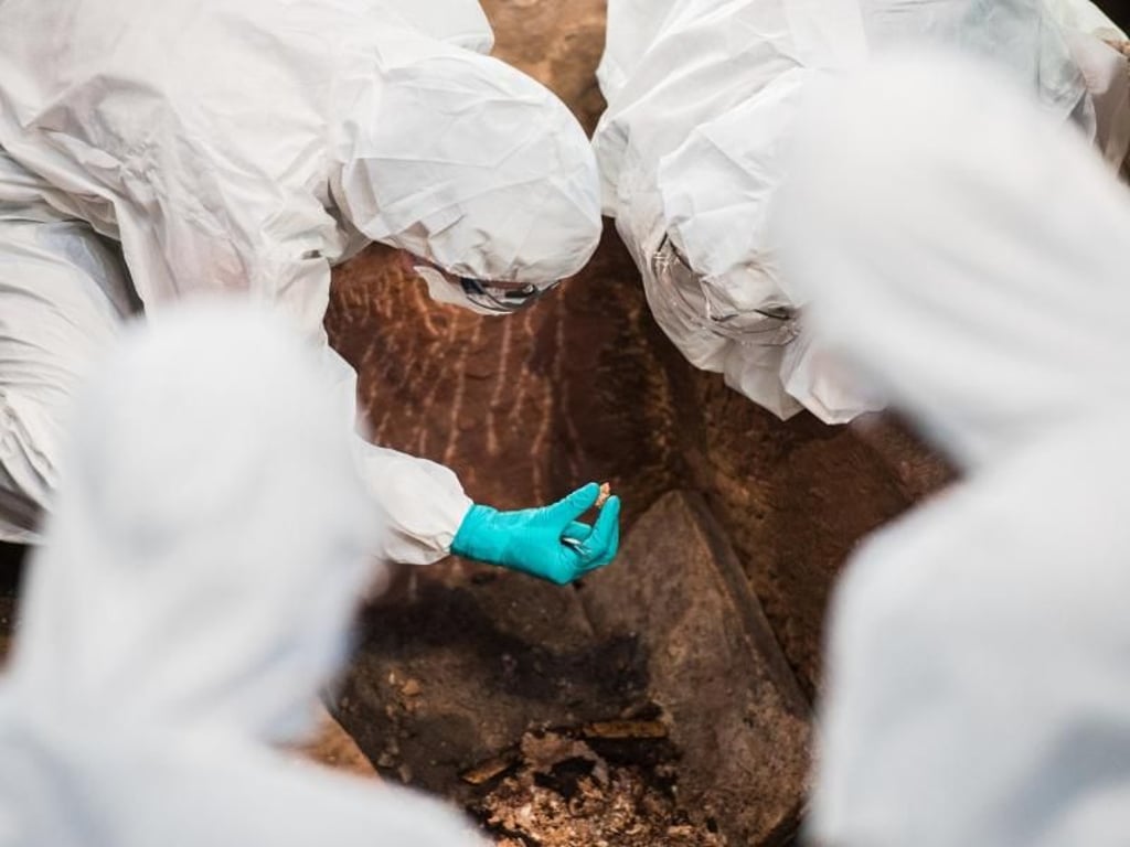 Das Forscherteam findet bei der Sarkophag-Öffnung Überreste eines Geistlichen. Foto: Andreas Arnold