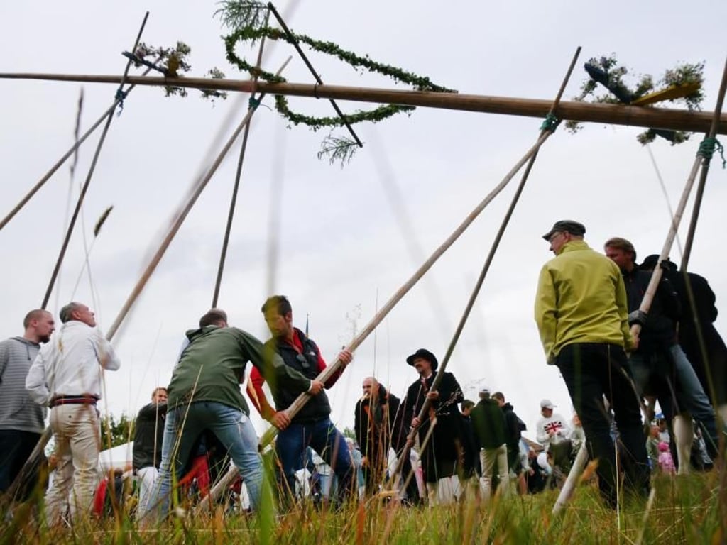 Mit Holzstangen wuchten die Männer die sogenannte Midsommarstång in die Höhe. Dabei müssen sie darauf achten, dass der Baum nicht zur Seite wegkippt. Foto: Isabelle Modler