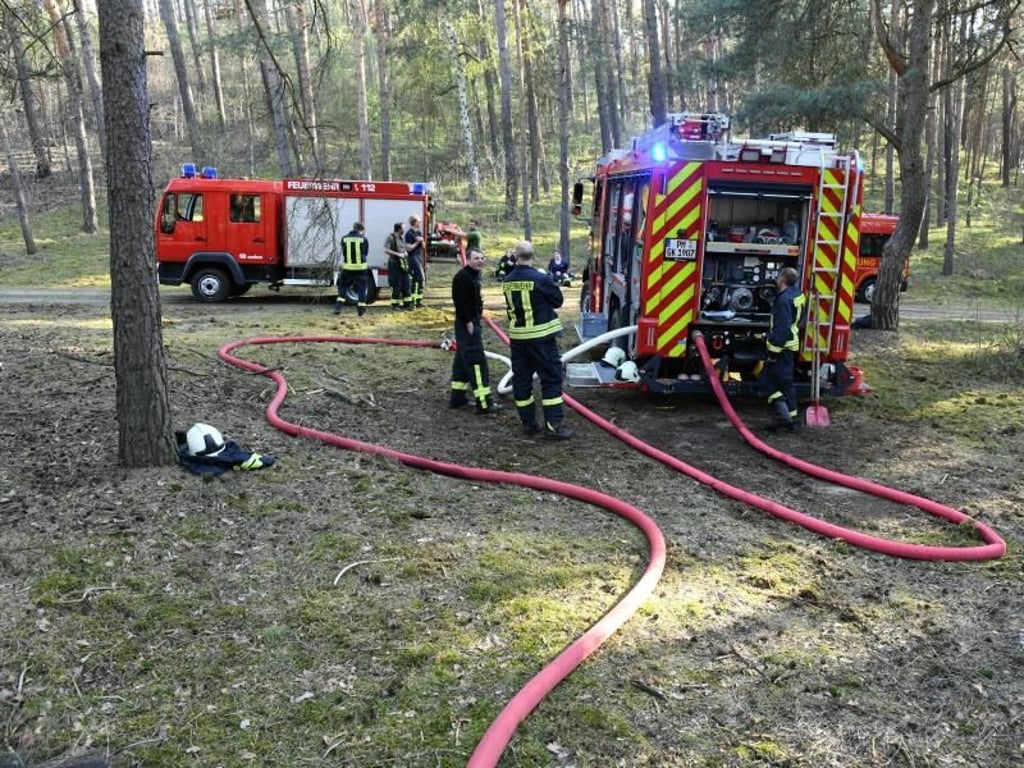 In allen Brandenburger Landkreisen und kreisfreien Städten bis auf die Kreise Uckermark, Barnim und Märkisch-Oderland ist die Waldbrandgefahr hoch. Foto: Julian Stähle