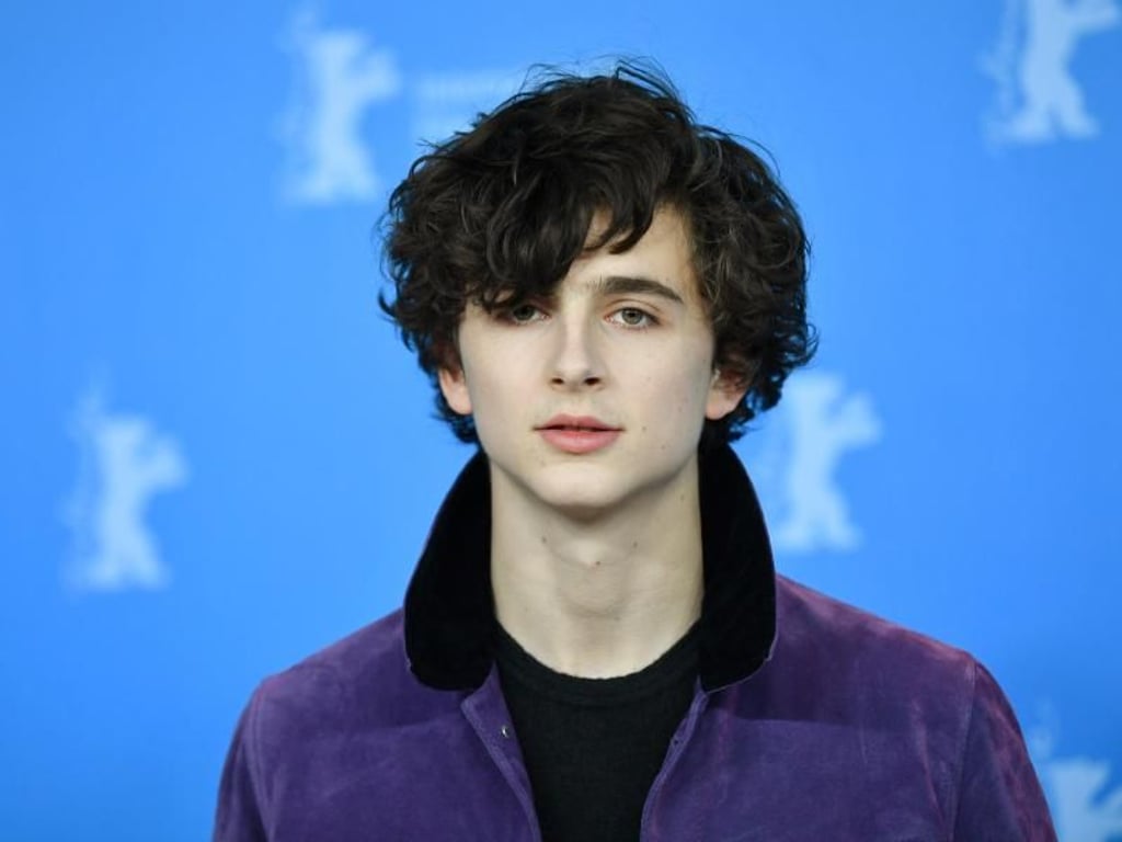 Timothée Chalamet ist erst 22 Jahre alt - und könnte Oscar-Geschichte schreiben. Foto: Jens Kalaene