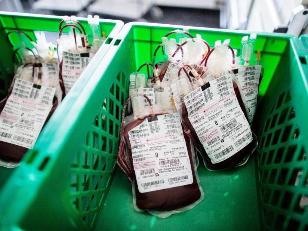 Blutkonserven liegen in einem Kühlraum. Foto: Maja Hitij/Archiv