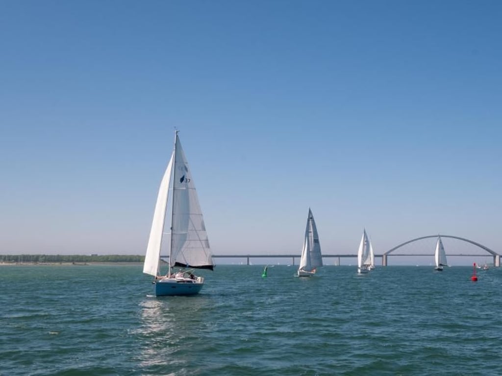 Jeder, wie er mag: Segler genießen bei strahlend blauem Himmel die Kulisse der Fehmarnsundbrücke vor Fehmarn. Foto: Daniel Reinhardt