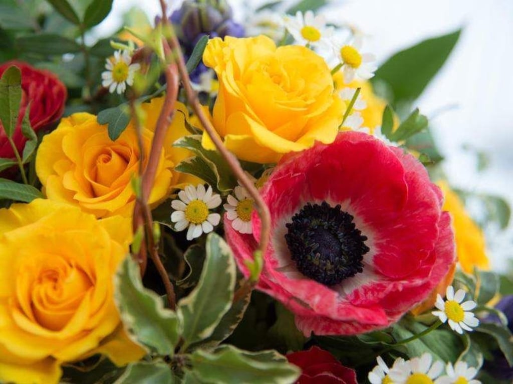 Damit sich Blumensträuße länger halten, entfernt man am besten große Blätter an Schnittblumen. Foto: Andrea Warnecke