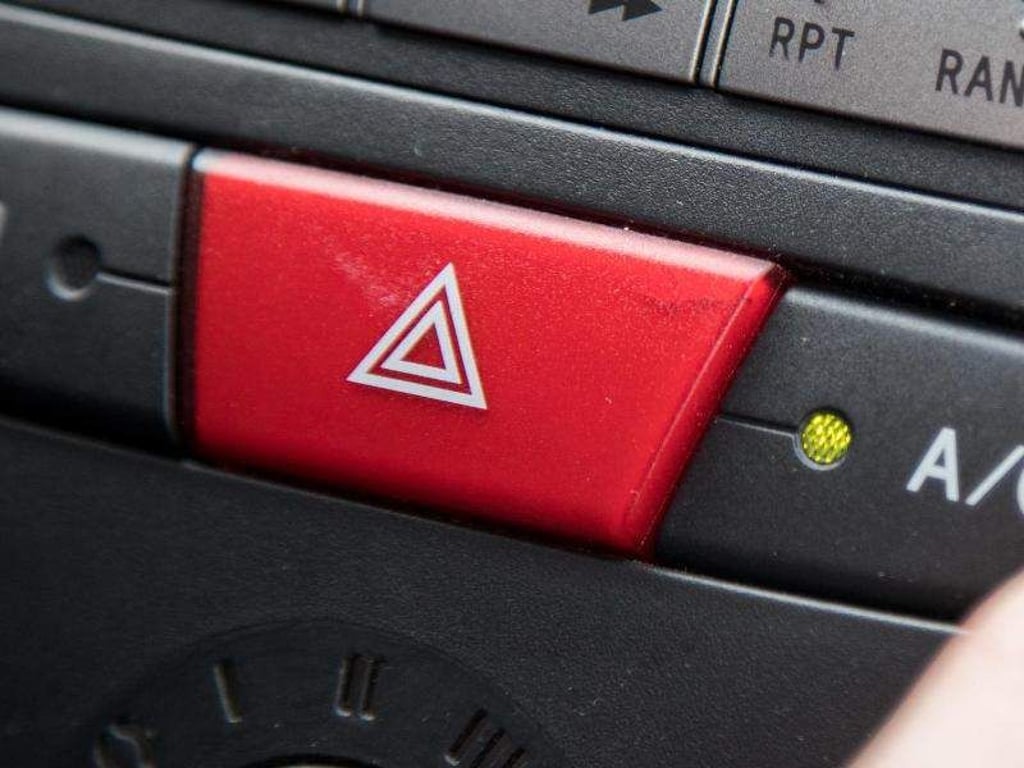 Bei einer Wespe im Auto nicht panisch reagieren, sondern Warnblinker einschalten und rechts ranfahren. Foto: Christin Klose/dpa-tmn/dpa