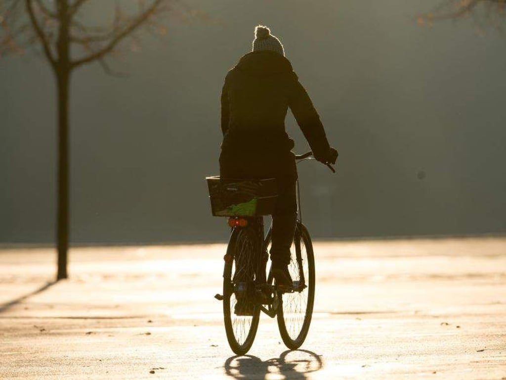 Tobias Hase