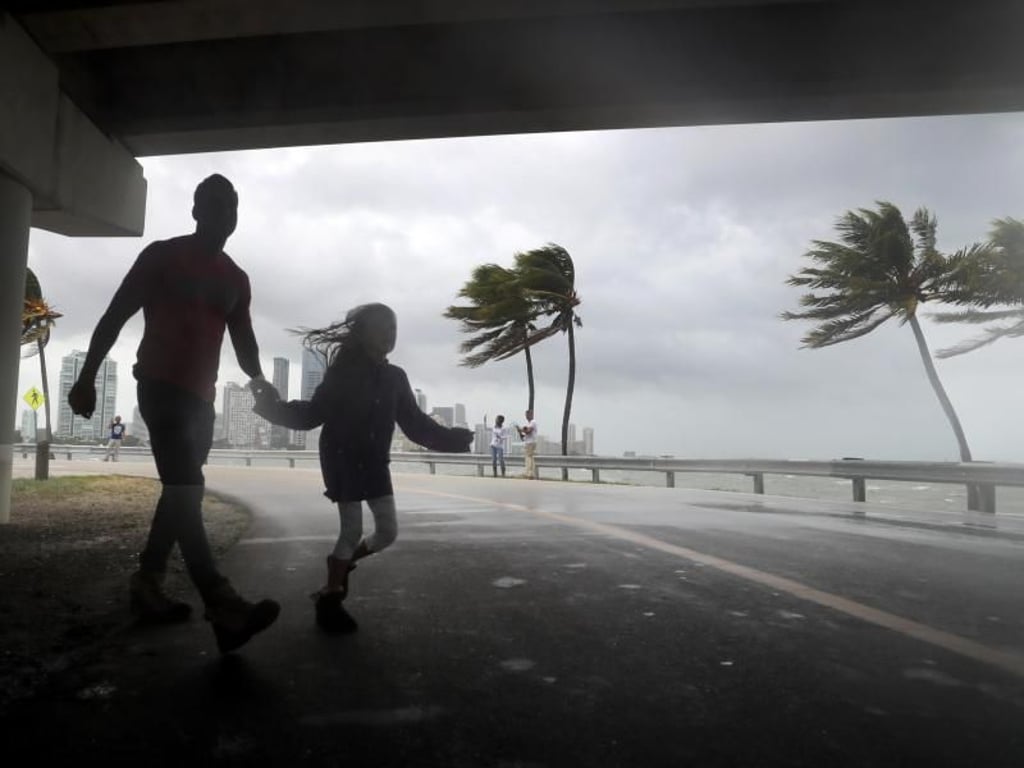 Hurrikan "Irma" kommt: Ein Mann mit seinem Kind in Miami vor der Kulisse sturmgepeitschter Palmen. Foto: Mike Stocker/Sun Sentinel/zuma