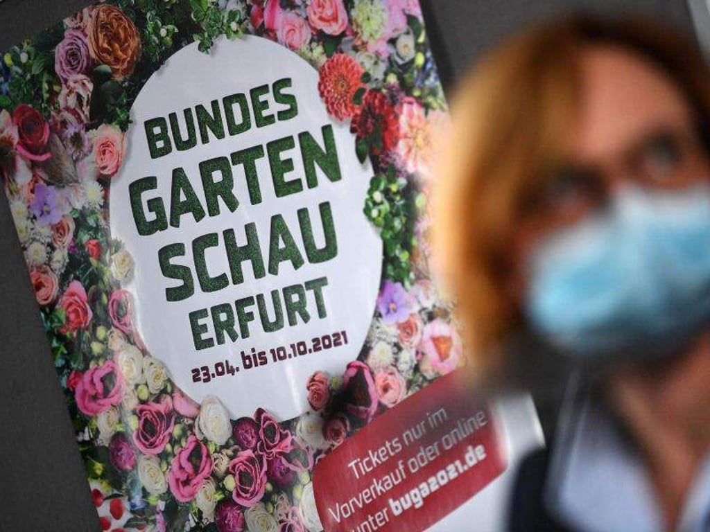 Martin Schutt