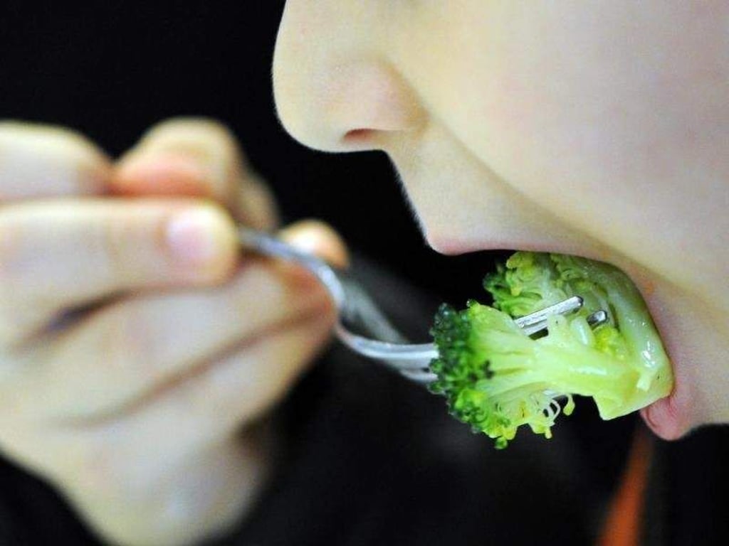 So klappt es mit dem Gemüse: Kinder wollen, dass es schmeckt. Foto: Caroline Seidel