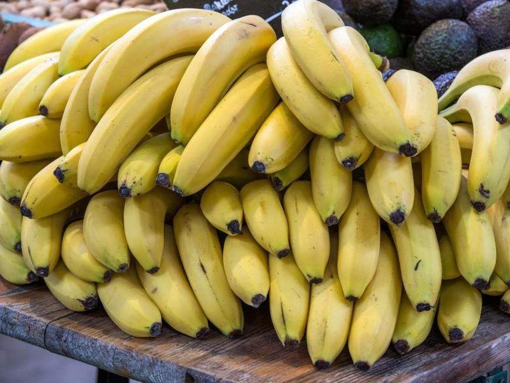 «Cavendish»-Bananen machen einen Anteil von mehr als 90 Prozent auf dem deutschen Markt aus. Symbolbild: Jens Büttner Foto: Jens Büttner